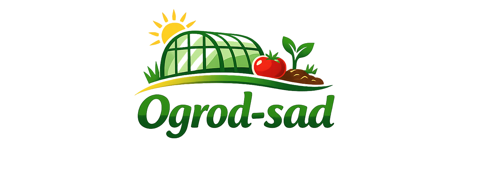 chatgpt image 21 февр. 2026 г., 23 33 44