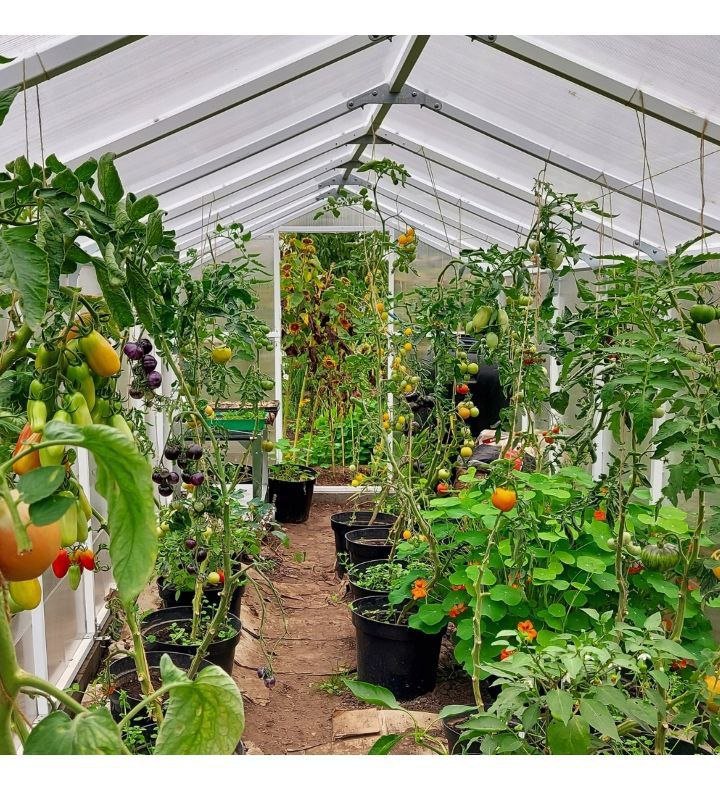 photo 5228970473994000671 x